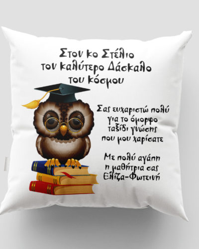 Μαξιλάρι με εκτύπωση - Δασκάλα / Δάσκαλος - Σχέδιο 10