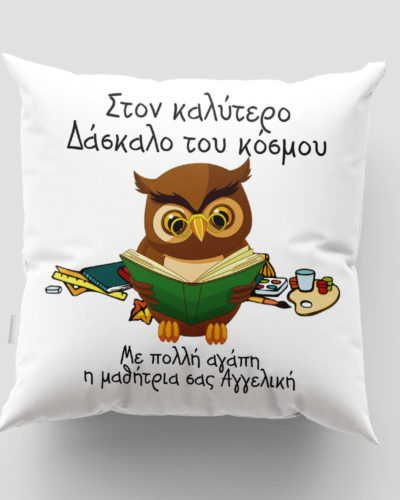 Μαξιλάρι με εκτύπωση - Δασκάλα / Δάσκαλος - Σχέδιο 13
